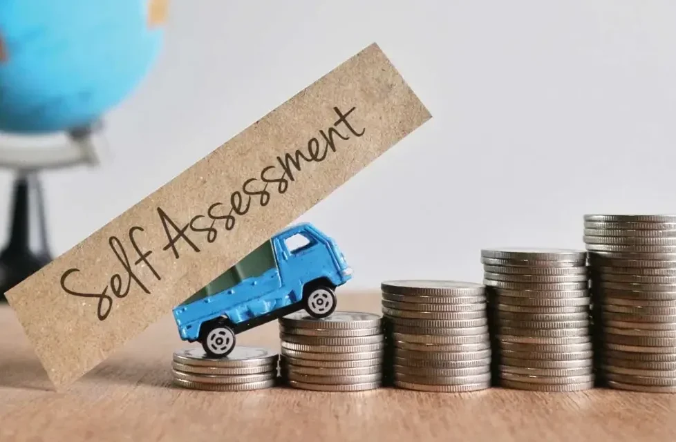 Self Assessment System Pada Peraturan Perpajakan Di Indonesia