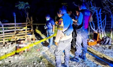 Polisi Selidiki Kasus Pemilik Domba NTT Yang Tewaskan Pencuri
