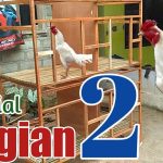 Solusi Ekonomis: Rangka Kandang Ayam Dari Barang Bekas