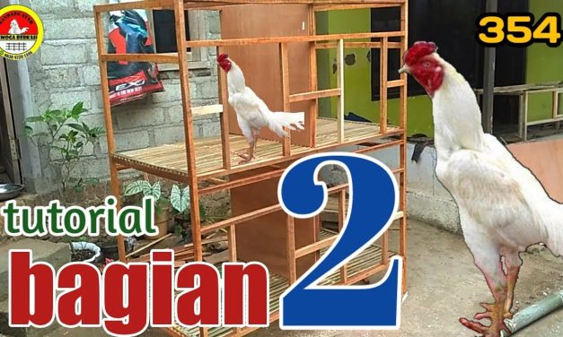 Solusi Ekonomis: Rangka Kandang Ayam Dari Barang Bekas