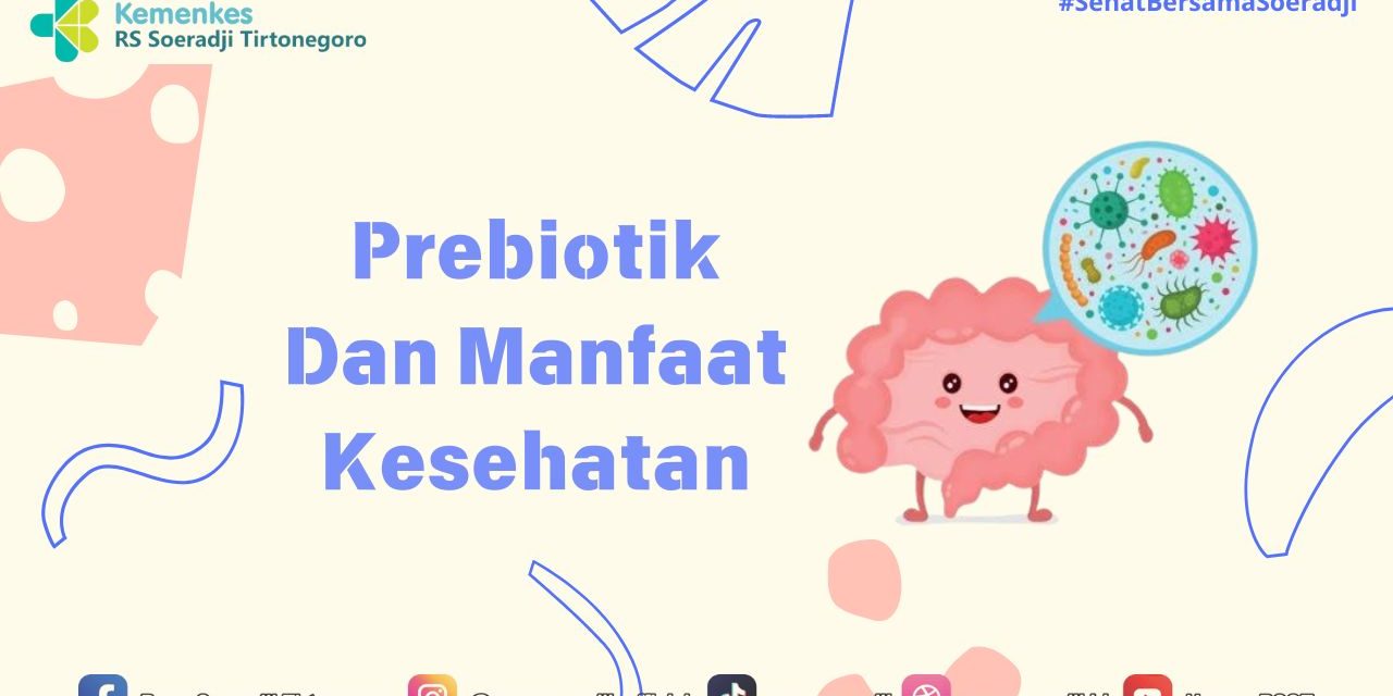 Manfaat Prebiotik Untuk Kesehatan Tulang, Yuk Kita Bahas Disini