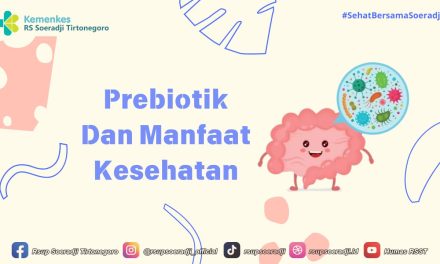 Manfaat Prebiotik Untuk Kesehatan Tulang, Yuk Kita Bahas Disini