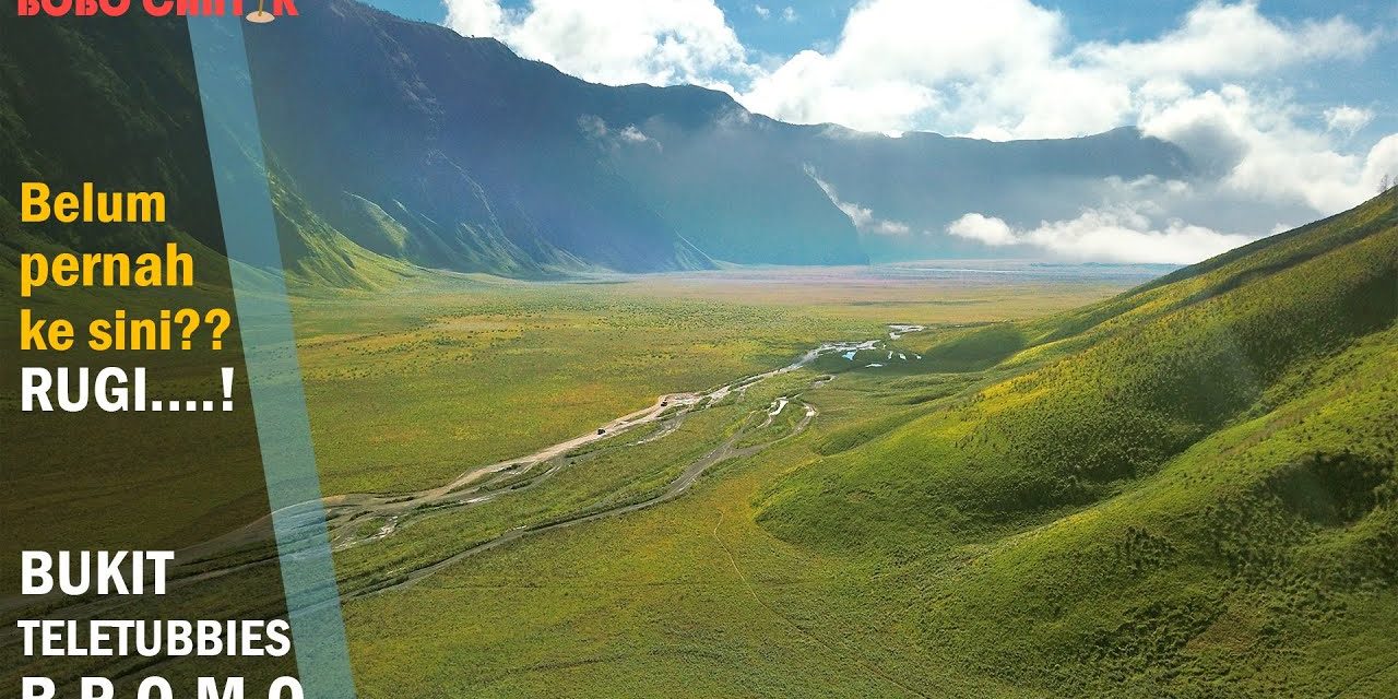 Bukit Teletubbies Bromo: Savana Hijau Di Tengah Lautan Pasir