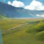 Bukit Teletubbies Bromo: Savana Hijau Di Tengah Lautan Pasir