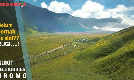 Bukit Teletubbies Bromo: Savana Hijau Di Tengah Lautan Pasir