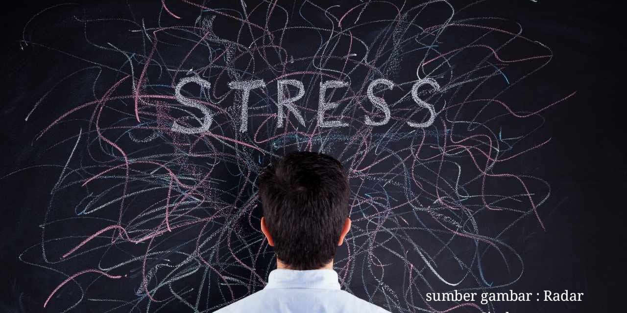 Mengelola Stres Dan Emosi Dengan Bijak Dan Seimbang
